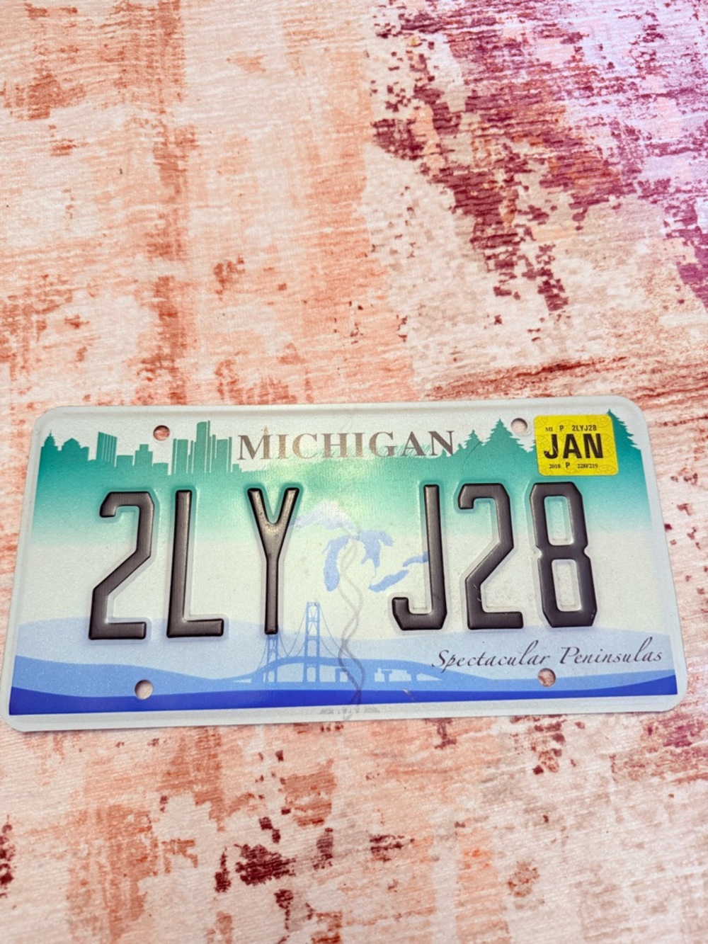 Michigan License Plate - Aqua Gradient with Black Characters